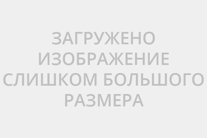 Дырокол для кожи  2.5мм, 3мм, 3.5мм, 4мм, 4.5мм, 5мм THT3351